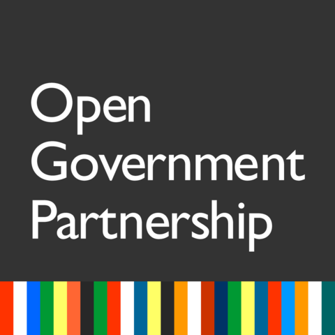 OGP Participation & Co-Creation Standards